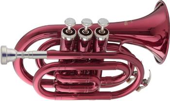 Stagg WS-TR247S