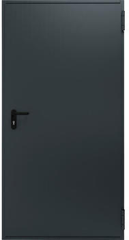 Hörmann H8-5 Kellertür anthrazitgrau 875x2000 mm Links/Rechts