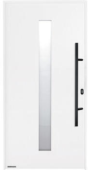 Hörmann Thermo65 1100x2100 mm Motiv 610S verkehrsweiß Links