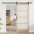 vidaXL ORKDAL Schiebetür Natur Massivholz Kiefer & Glas 93x202cm (3332483)