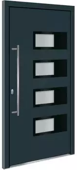 vidaXL Haustür anthrazit 110x210cm Aluminium und PVC (3157073)