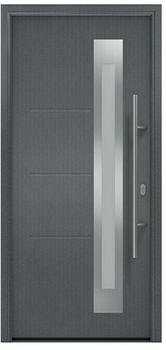 Hörmann EcoStar ISOPRO 110 x 210 cm metallic