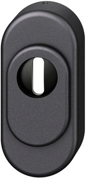 FSB Sicherheitsrosette 73 3249 oval PZ mit Kernziehschutz Aluminium schwarz