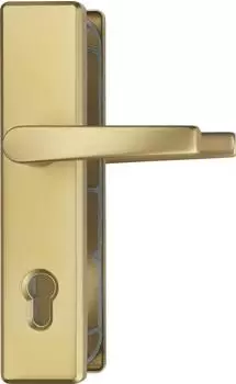 ABUS HLS214 T&uuml;rschutzbeschlag Dr&uuml;cker/Dr&uuml;cker, gold (F3)