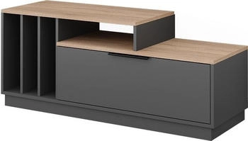 VICCO Betti Grau 120 x 49.9 x 40 cm