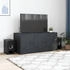 vidaXL TV-Schrank Anthrazit Stahl (841645)