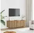 vidaXL TV-Regal Artisan-Eiche 100 x 35 x 40 cm Holzwerkstoff (856354)