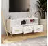 vidaXL TV-Schrank Hochglanz-Weiß 102x36x50cm Holzwerkstoff (812606)