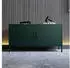 Jan Nowak ROSA TV-Lowboard Metall Glitzernd 115x59,5x40cm (ROSA)