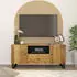 vidaXL TV-Schrank 105x33,5x46cm Massivholz Mango & Holzwerkstoff (351961)