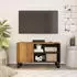 vidaXL TV-Schrank Massivholz Mango & Holzwerkstoff 80x33x46cm (351965)