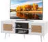VEVOR Rattan-TV-Ständer Boho 120x40x49cm 2 Türen 2 Schubladen Weiß (10FJTRTVO10K)