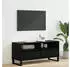 vidaXL TV-Schrank Schwarz Eichen-Optik 100x34,5x44,5cm