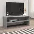 vidaXL TV-Schrank Holzwerkstoff Grau Sonoma 100x40x40cm (815232)