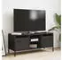 vidaXL TV-Schrank Kaltgewalzter Stahl 101,5x39x43,5cm (851298)