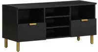 vidaXL TV-Schrank Schwarz 100x33x46 cm Holzwerkstoff