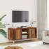 vidaXL TV-Schrank Holzwerkstoff Altholz-Optik 102x35x50cm (856428)