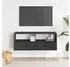 vidaXL TV-Schrank Schwarz 100x31x39,5cm Holzwerkstoff und Metall (848929)