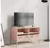 vidaXL TV-Schrank Rosa 68x39x43,5cm Kaltgewalzter Stahl (851317)