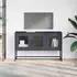 vidaXL TV-Schrank anthrazit 100,5x39x60,5cm kaltgewalzter Stahl (853340)