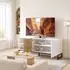 HomCom TV-Lowboard bis 55 Zoll, Soft-Close-Tür, weiß (83B-797V90WT)