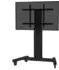 Neomounts PLASMA-M2250BLACK