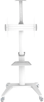 PureMounts PM-PDS-0003C