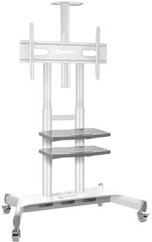 Onkron TS1881-W