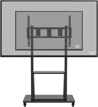 celexon Economy Adjust-55110MP