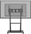 celexon Economy Adjust-55110MP