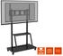 celexon Economy Adjust-55110MP