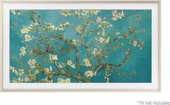 Samsung Austauschbarer Rahmen The Frame Modern VG-SCFF85SGMXC