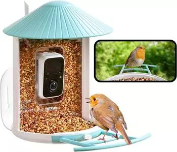 Netvue Birdfy