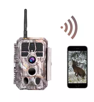 Blazevideo 1296P (A280W)
