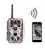 Blazevideo 1296P (A280W)