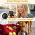 Rollei Indoor Security Cam IPC-88