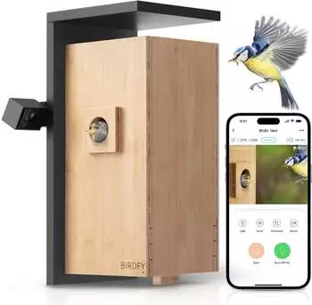 Birdfy Nest