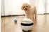Enabot Rola Mini Pet Monitor