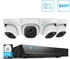 reolink 5MP Set PoE IP OutdoorSmarter Personen- und Fahrzeugerkennung 8CH 2TB HDD NVR für 24/7 Nachtsicht RLK8-520D4-A (RLK8-520D4-5MP-AI)