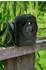 Technaxx TX-164 Full HD Zeitraffer- Kamera