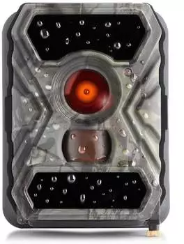 SECACAM Raptor