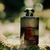 Jo Malone Hinoki & Cedarwood Cologne Intense (50ml)