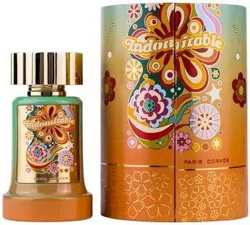 Paris Corner Perfumes Indomitable Eau de Parfum 100 ml