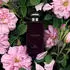 Jo Malone Taif Rose Cologne Intense PPK 100ml
