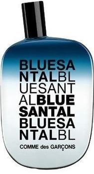 Comme des Garçons Blue Santal Eau de Parfum (100 ml)