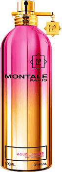 Montale Aoud Legend Eau de Parfum (100ml)