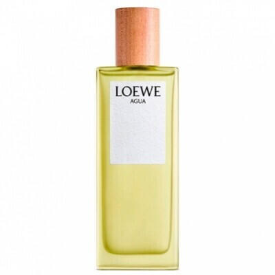 Loewe Eau de Toilette Agua (100 ml)
