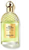 Guerlain Aqua Allegoria Nerolia Vetiver Forte Eau de Parfum 125 ml, Grundpreis: