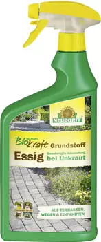 TerraDomi Rusche die Steindusche 10 Liter Erfahrungen