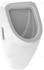 Duravit Duraplus (0830360000)